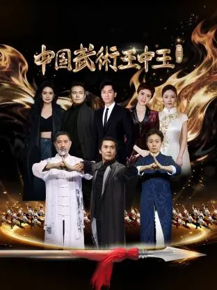 《中国武术王中王第二季》全集高清完整版在线观看与剧情解析
