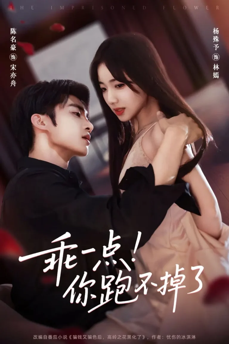 《乖一点！你跑不掉了》全集高清完整版在线观看与剧情解析