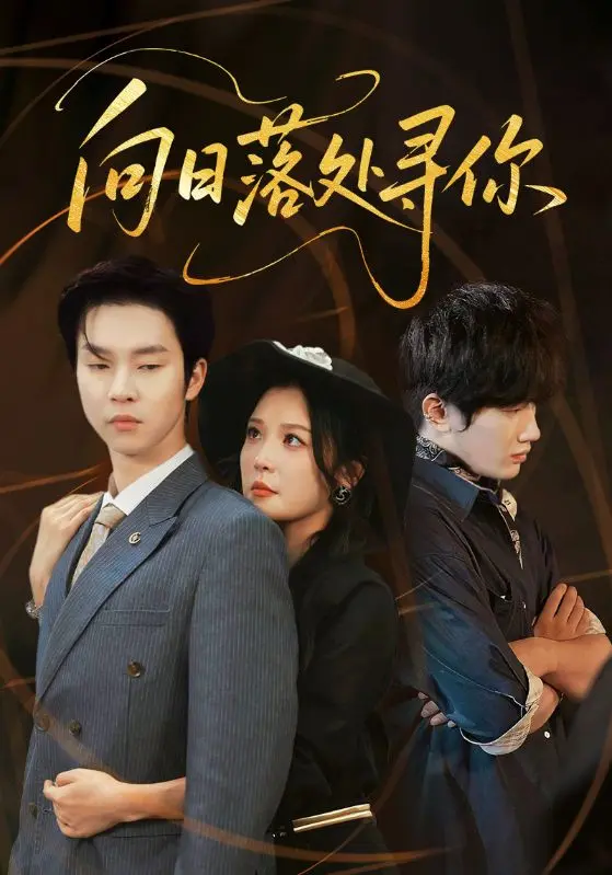 《向日落处寻你》全集高清完整版在线观看与剧情解析