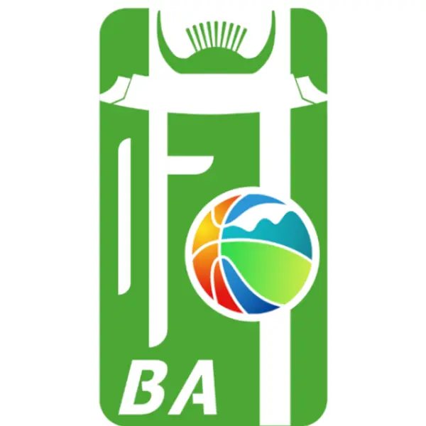 《和美乡村篮球赛 DAY4抚市会场20251030》全集高清完整版在线观看与剧情解析