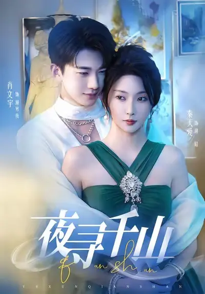 《夜寻千山&夜巡千山》全集高清完整版在线观看与剧情解析