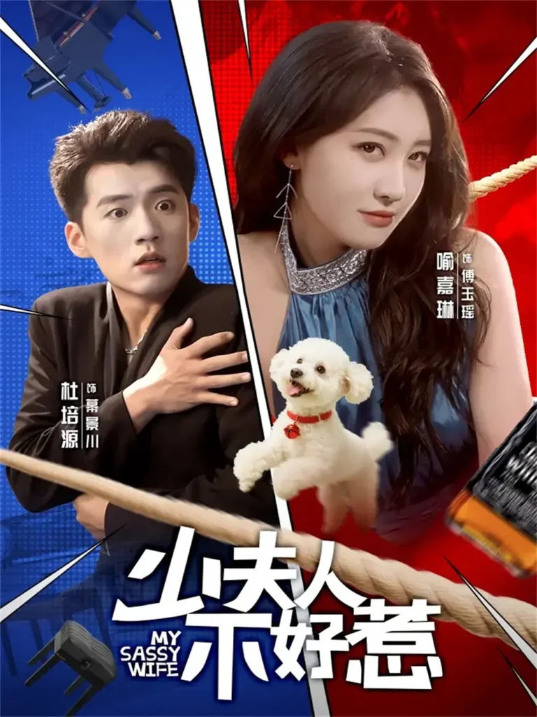 《少夫人不好惹》全集高清完整版在线观看与剧情解析