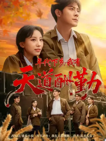 《年代下乡我有天道酬勤》全集高清完整版在线观看与剧情解析