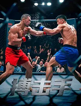 《搏击手2025》全集高清完整版在线观看与剧情解析