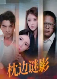 《枕边谜影&我撞破了妻子的秘密》全集高清完整版在线观看与剧情解析