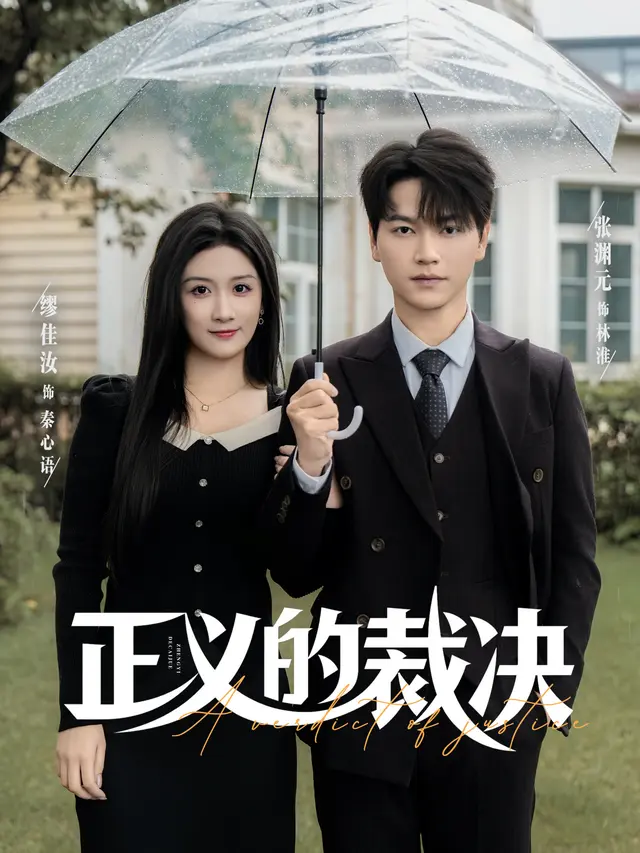 《正义的裁决》全集高清完整版在线观看与剧情解析