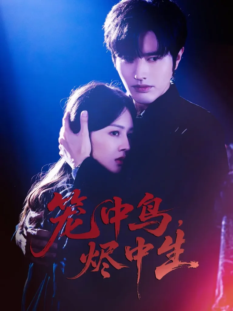 《笼中鸟，烬中生》全集高清完整版在线观看与剧情解析