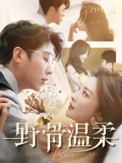 《野骨温柔》全集高清完整版在线观看与剧情解析