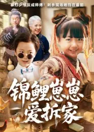 《锦鲤崽崽爱拆家》全集高清完整版在线观看与剧情解析