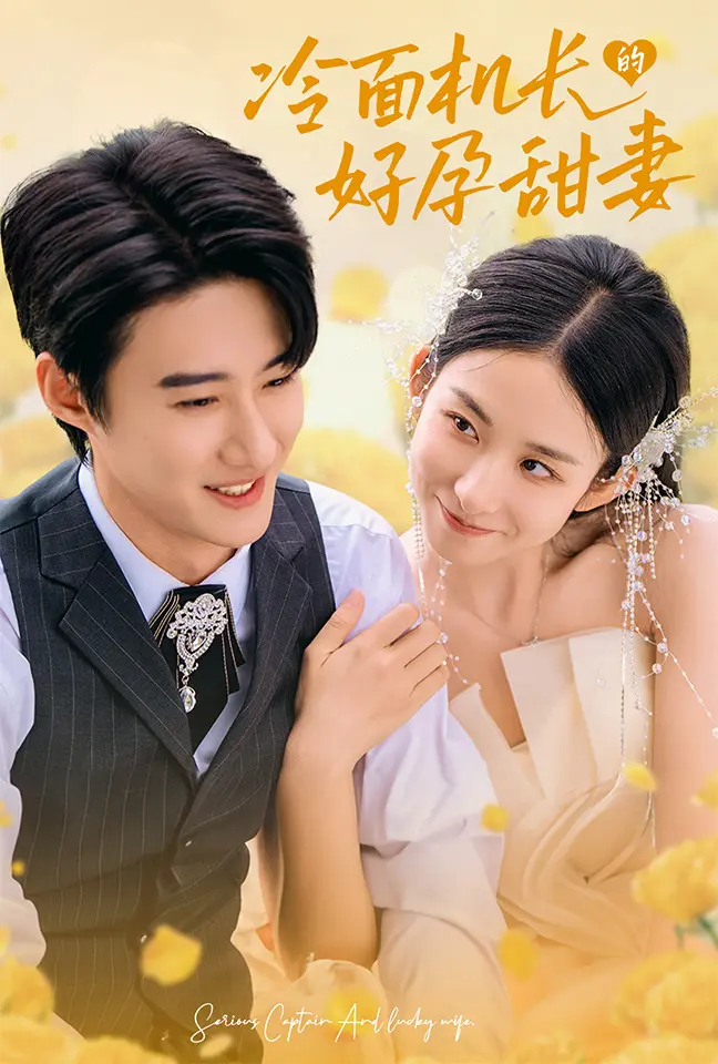 《冷面机长的好孕甜妻》全集高清完整版在线观看与剧情解析