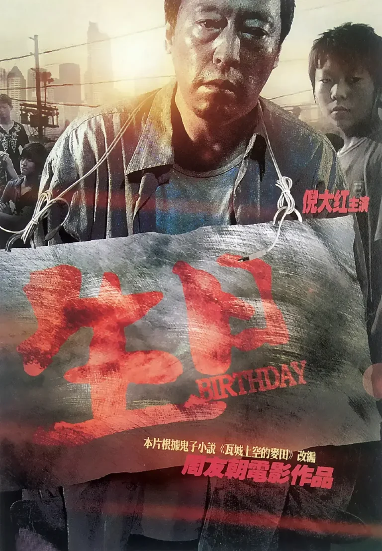 《生日2009[电影解说]》全集高清完整版在线观看与剧情解析